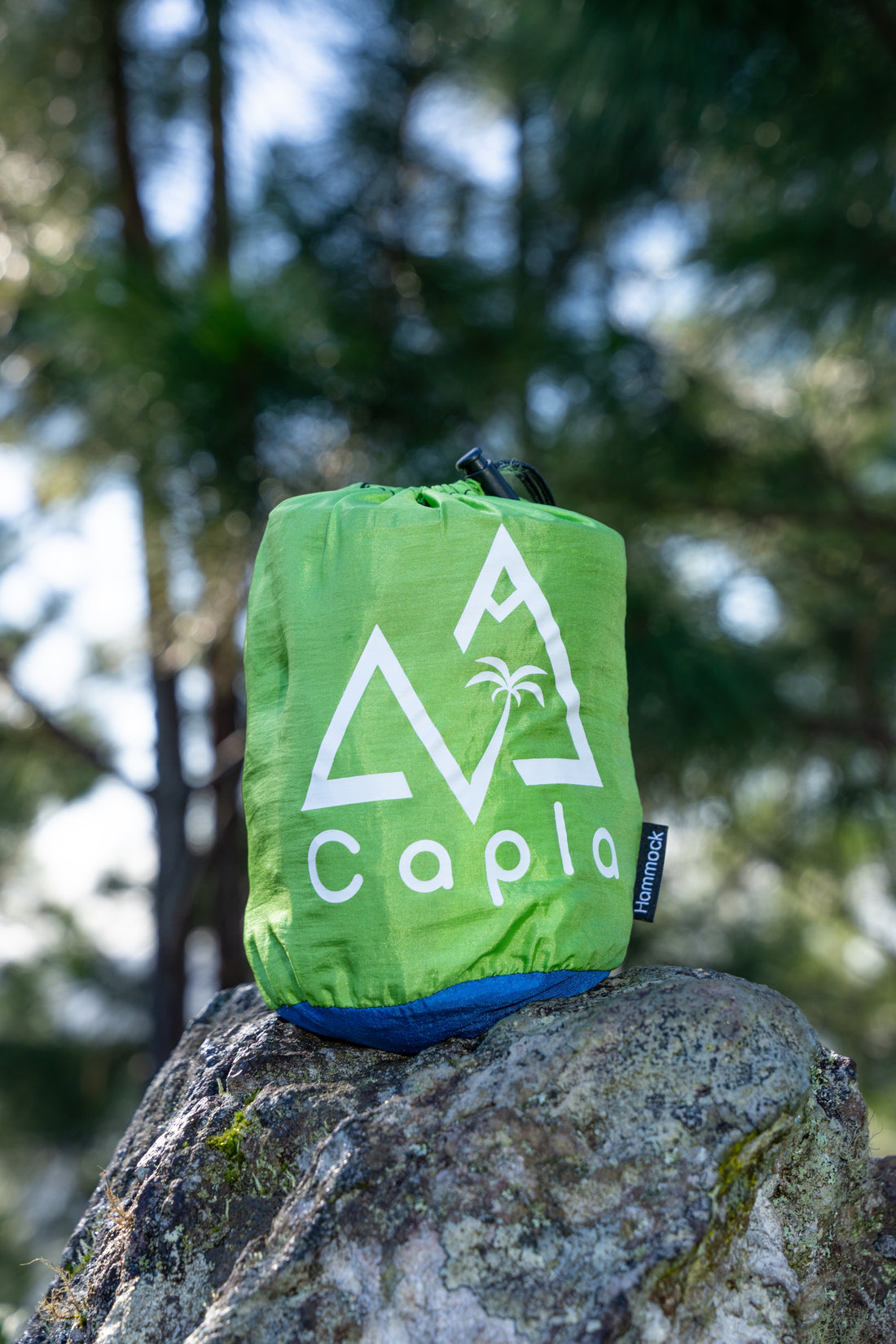 Capla Hammock 2.0 - Green & Blue